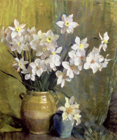 Narcisse - Laura Coombs Hills