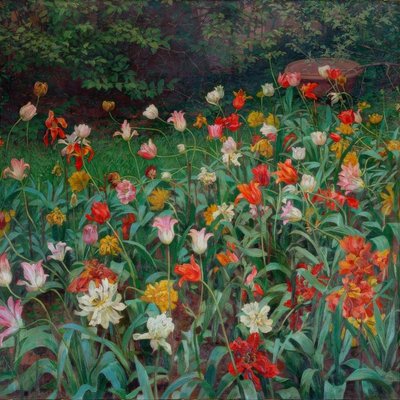 Tulipes - Maximilian Lenz