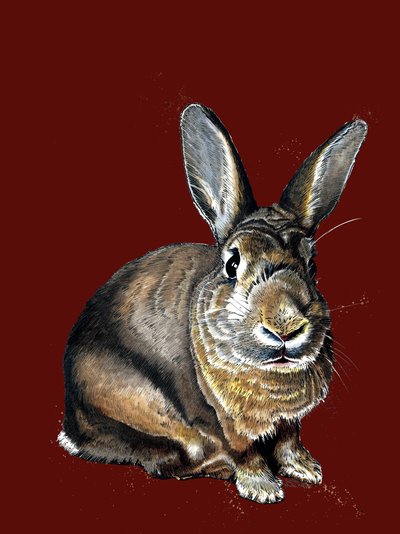 Meg Le Lapin sur Oxyde Rouge, 2020 - Mike Davis