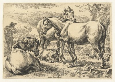 Trois chevaux (Animaux) - Nicolaes Pietersz Berchem