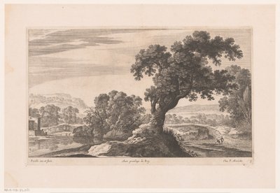 Paysage avec arbre près d