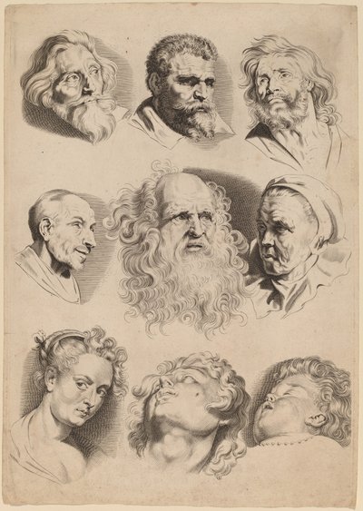 Neuf têtes - Paulus Pontius after Sir Peter Paul Rubens