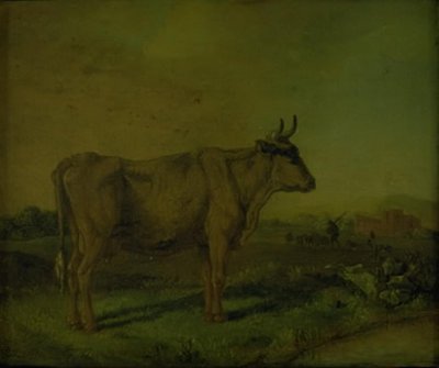 Une vache - Paulus Potter