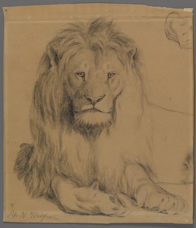 Lion - Philip H. Wolfrom