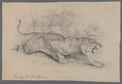 Tigre dans le paysage - Philip H. Wolfrom