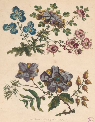 Deux branches de fleurs imaginaires - Pierre Charles Canot