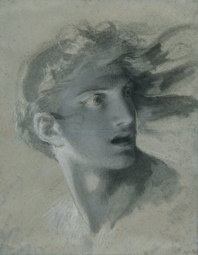 Tête de Vengeance, c.1804 - Pierre Paul Prudhon