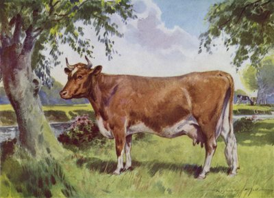 Illustration pour Ma Ferme - Reginald Mills