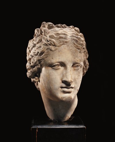 Tête de Vénus, c.1er-2ème siècle apr. J.-C. - Roman Roman