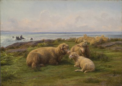 Moutons près de la mer - Rosa Bonheur