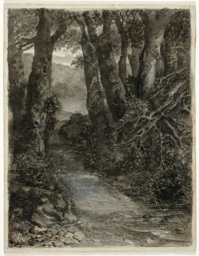 Étude de forêt - Samuel Palmer