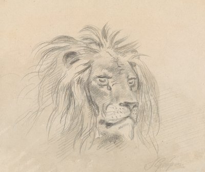 Tête de lion - Sawrey Gilpin