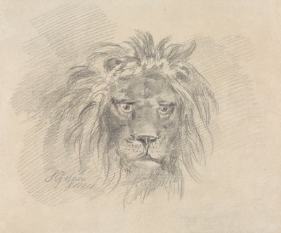 Tête de lion - Sawrey Gilpin