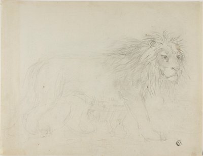 Lion - Sawrey Gilpin