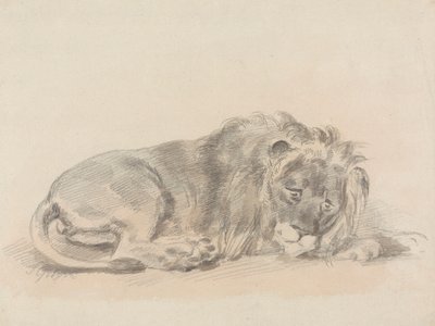 Lion couché - Sawrey Gilpin