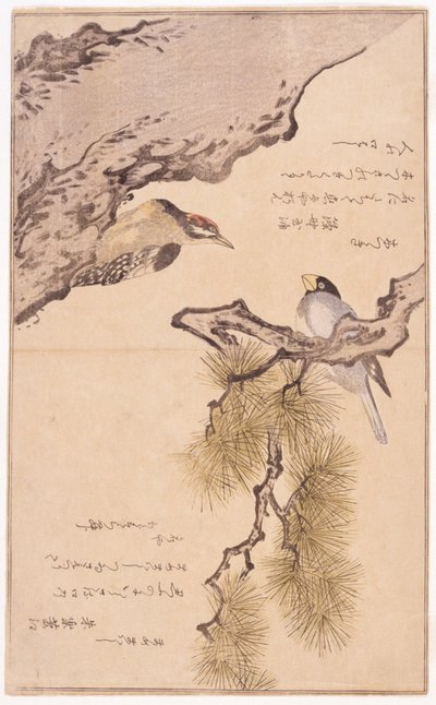 Deux oiseaux sur un arbre - School Japanese