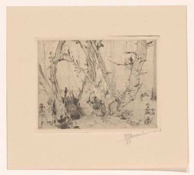 Vue de forêt - T. Sterrenburg (signed by artist)