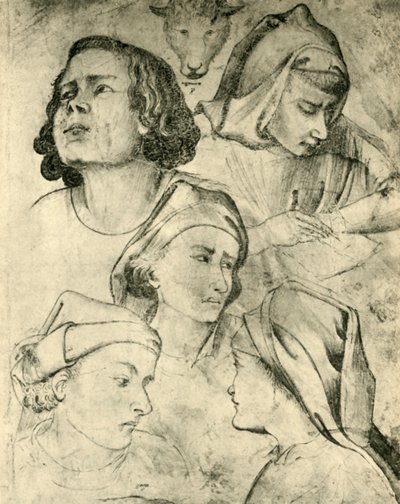 Études de têtes - Taddeo Gaddi