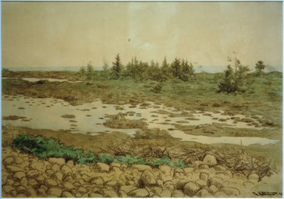 Pierres roulantes, eau et arbustes - Theodor Kittelsen