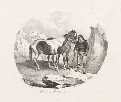 Chevaux d