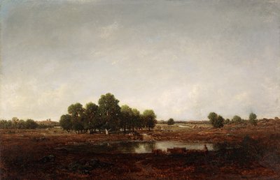 Paysage avec marais - Pierre Etienne Theodore Rousseau