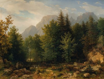 Paysage forestier en haute montagne - Thomas Ender