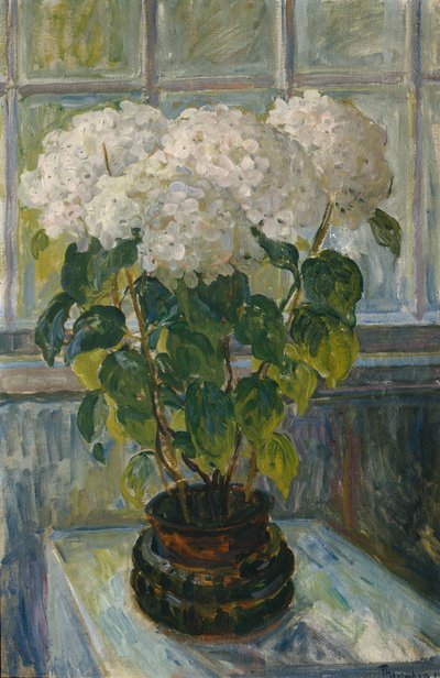 Hortensia - Thorolf Holmboe