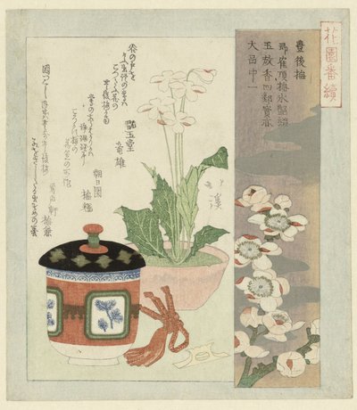 Nature morte avec primevère en fleur - Totoya Hokkei