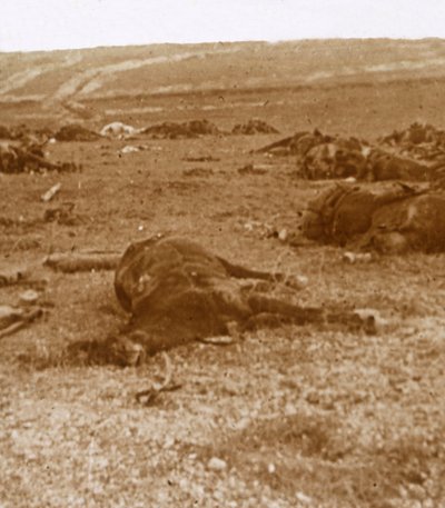 Après la charge, Beauséjour, nord de la France, c1914-c1918 - Unbekannt