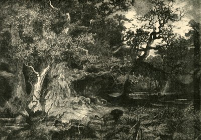 Une vieille forêt allemande, 1890 - Unbekannt