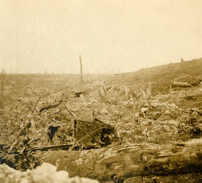 Champ de bataille, Bezonvaux, Verdun, nord de la France - Unbekannt