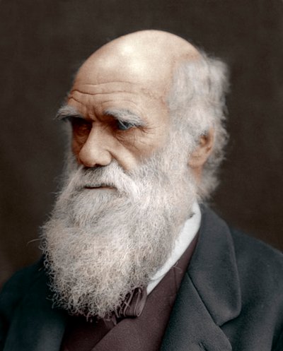 Charles Darwin, naturaliste britannique, 1878 - Unbekannt