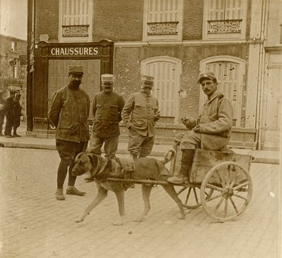 Dog-cart, France, vers 1914-1918 - Unbekannt