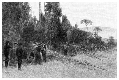 Cueillette du houblon près de Bairnsdale, Australie, 1886 - Unbekannt