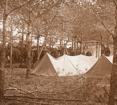 Cantonnement des chevaux, Suippes, nord de la France, c1914-c1918 - Unbekannt