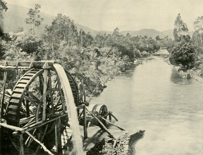 Dans la rivière Ovens, Germantown, 1901 - Unbekannt