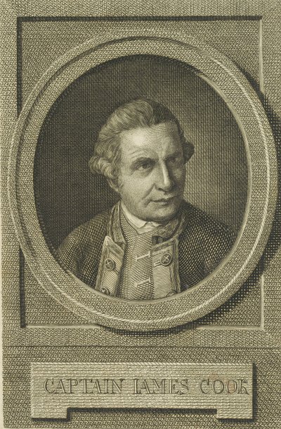 Portrait de James Cook, après 1771 - Unbekannt