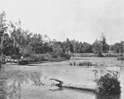 Scène au Mississippi, USA, vers 1900 - Unbekannt