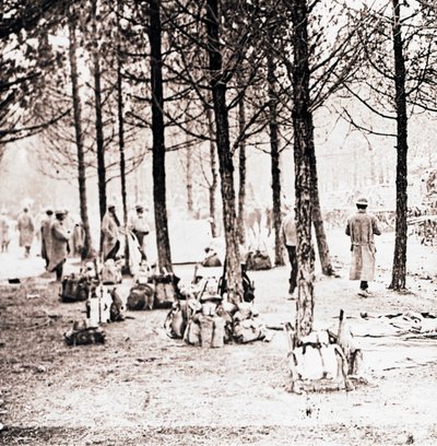 Soldats et sacs dans les bois, vers 1914-1918 - Unbekannt