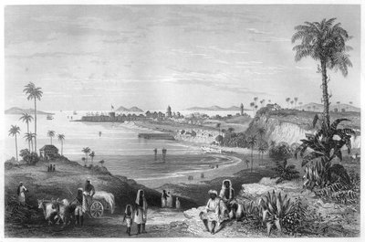 Vue de Bombay montrant le fort, c1860 - Unbekannt