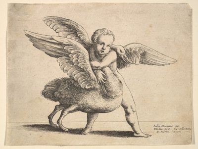 Cupidon et le cygne - Wenceslaus Hollar