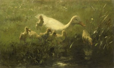 Canard blanc avec poussins - Willem Maris