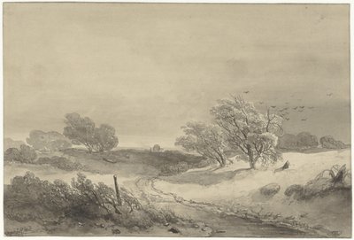 Paysage de dunes par temps sombre - Willem Roelofs (I)