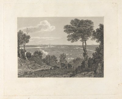 Vue lointaine de Chester - William Byrne