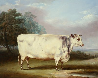 Une vache primée, 1838 - William Henry Davis