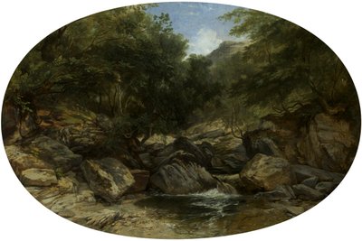 Ruisseau rocheux à Lynmouth - William James Muller