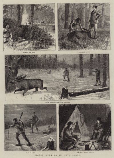 Chasse à l