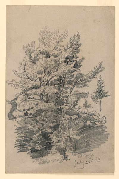 Étude de feuillage - William Trost Richards