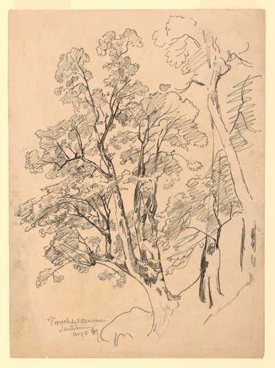 Étude de feuillage, Trachselwald, Berne, Suisse - William Trost Richards