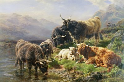 Bétail des Highlands - William Watson